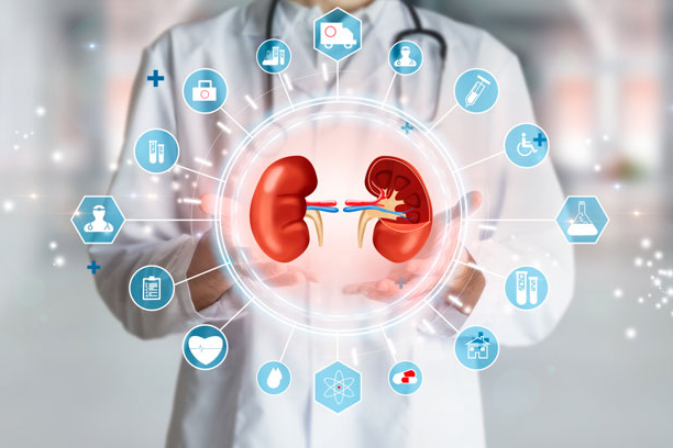 Axitinib versus sorafenib as second-line therapy for metastatic renal cell carcinoma (mRCC): Results of phase III AXIS trial.