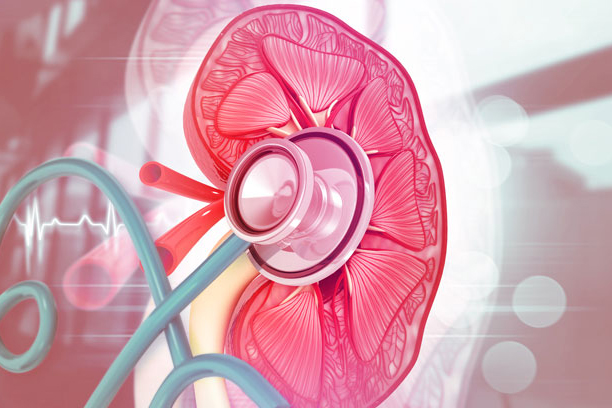 Role of quantitative gene expression using RT-PCR in the prediction of recurrence risk in resected T1 clear cell renal cell carcinoma (ccRCC).