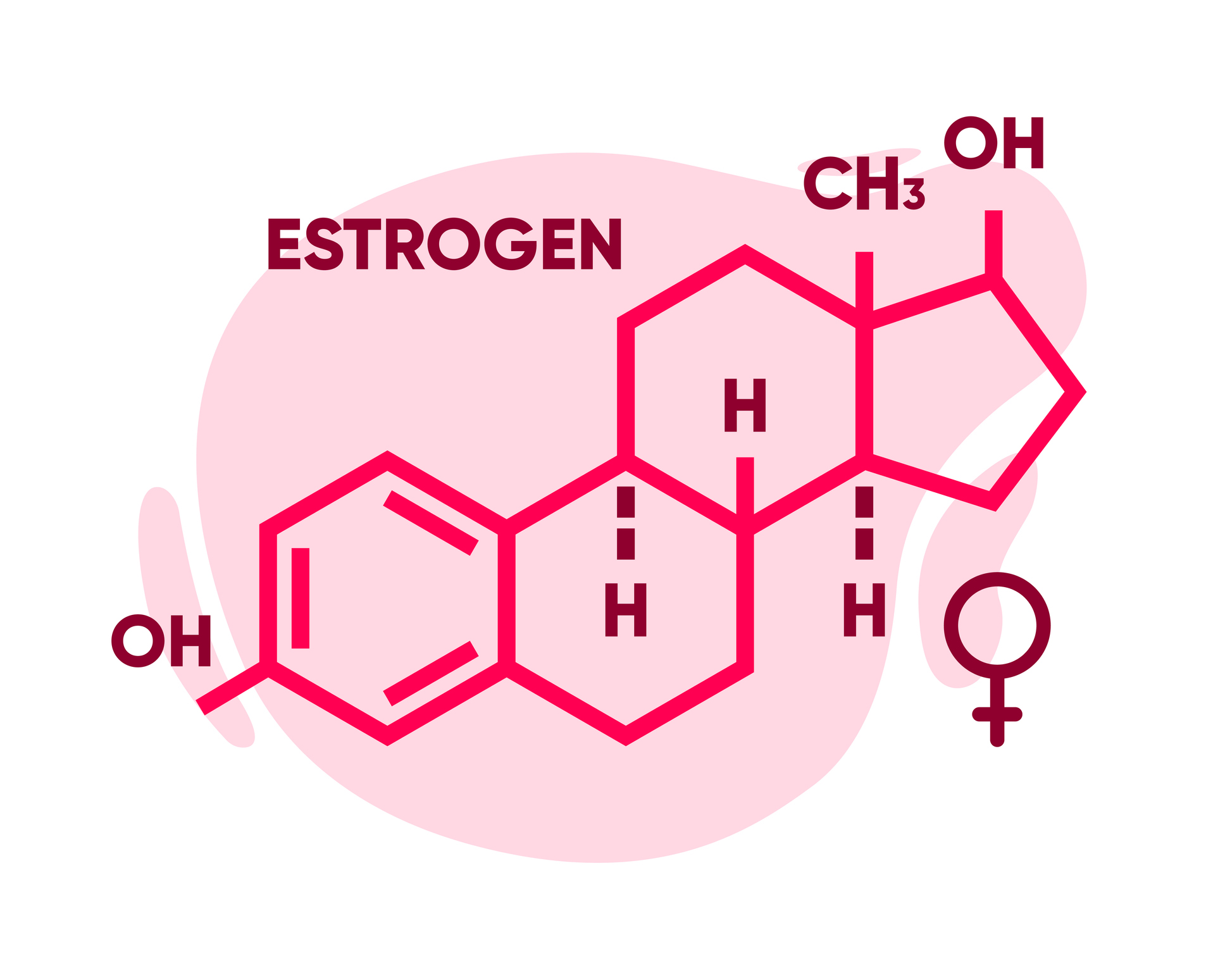 Advances in the Management of Menopausal Symptoms, Fertility Preservation, and Bone Health for Women With Breast Cancer on Endocrine Therapy