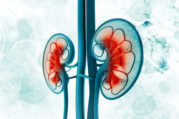 Management of Metastatic Clear Cell Renal Cell Carcinoma: ASCO Guideline